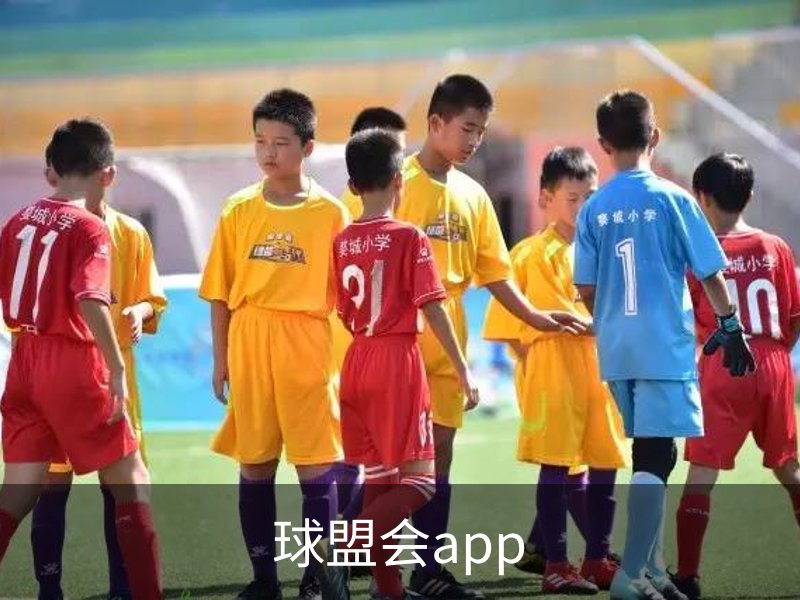 走进球盟会app